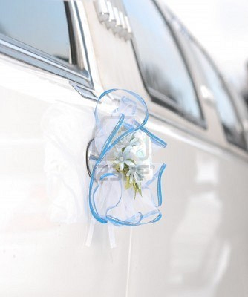 NJ Wedding Limousine Wedding Limo NJ NY
